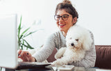 Choose a Dog Lawn Size