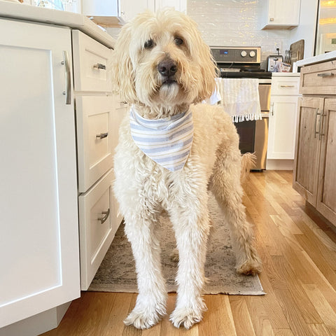 Blue Striped Bandana