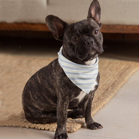 Blue Striped Bandana
