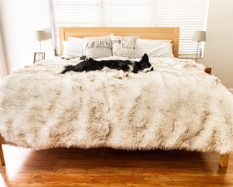 PupProtector™ Waterproof Throw Blanket