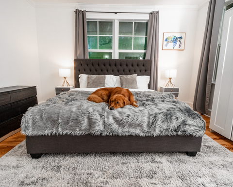 PupProtector™ Waterproof Throw Blanket