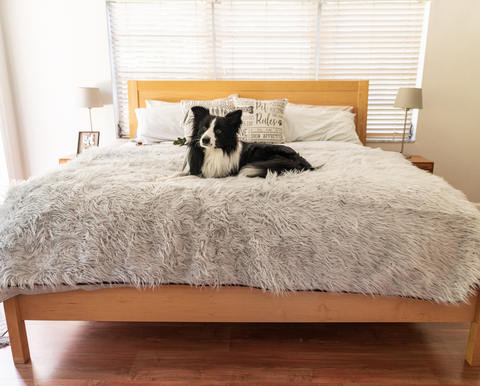 PupProtector™ Waterproof Throw Blanket