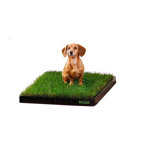 Standard + Tray
