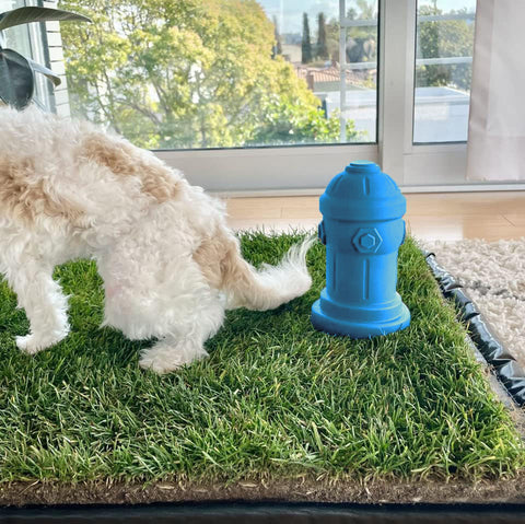 Potty Training Fire Hydrant