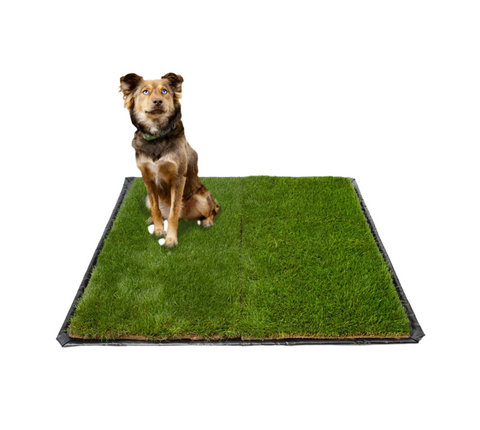 Double XL FLEX-TRAY