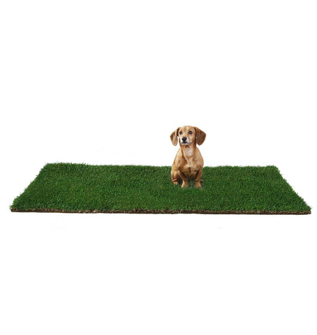 XL (Grass only)