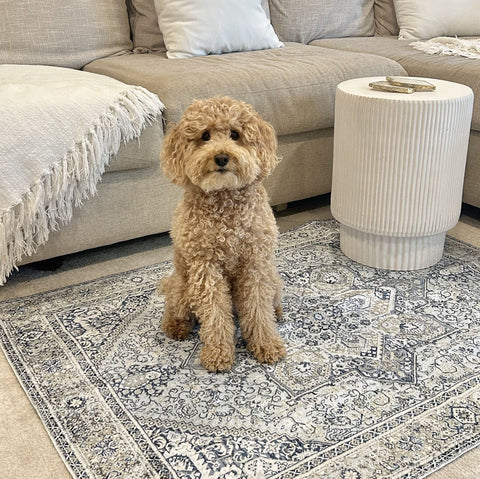 Washable Pet Mat