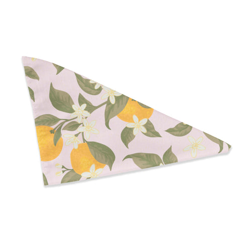 Citrus Floral Bandana