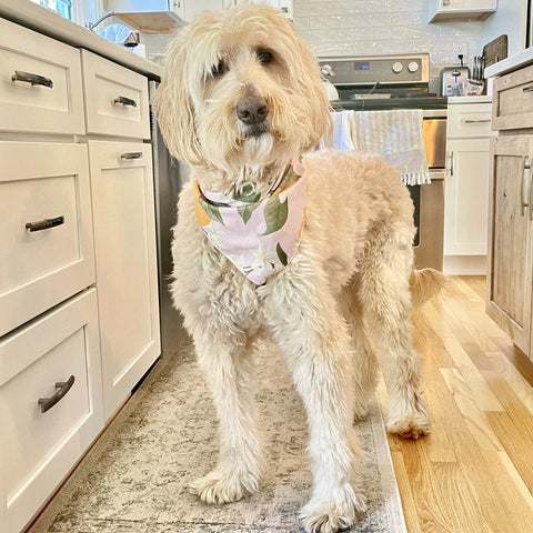 Citrus Floral Bandana