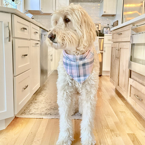 Pink and Blue Plaid Bandana