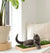Kitty Lawn