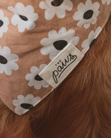 Sierra Daisies Bandana