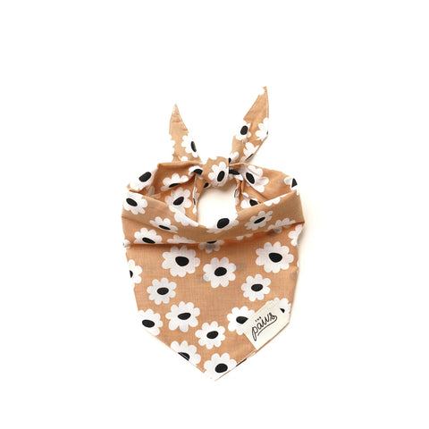Sierra Daisies Bandana