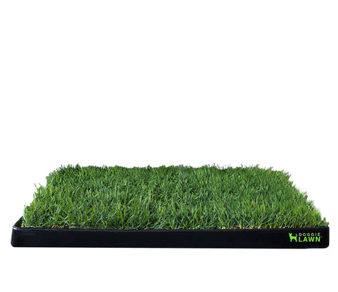 Standard DoggieLawn Tray