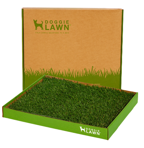 Medium Disposable DoggieLawn