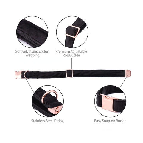 Velvet Collar and Leash Set