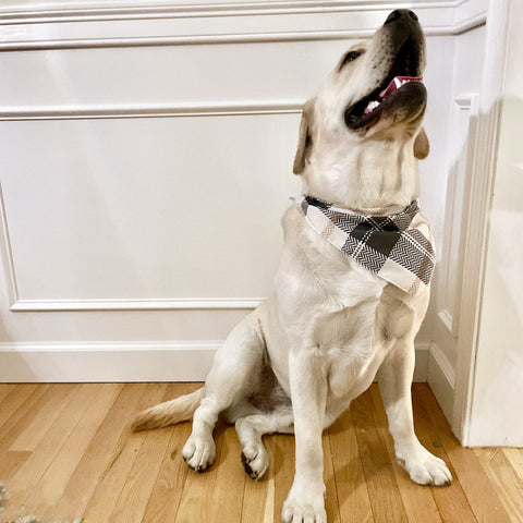 Neutral Plaid Bandana